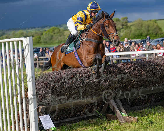 Race 5 - Restricted (127 of 151)
