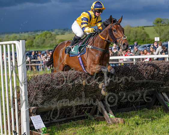 Race 5 - Restricted (128 of 151)