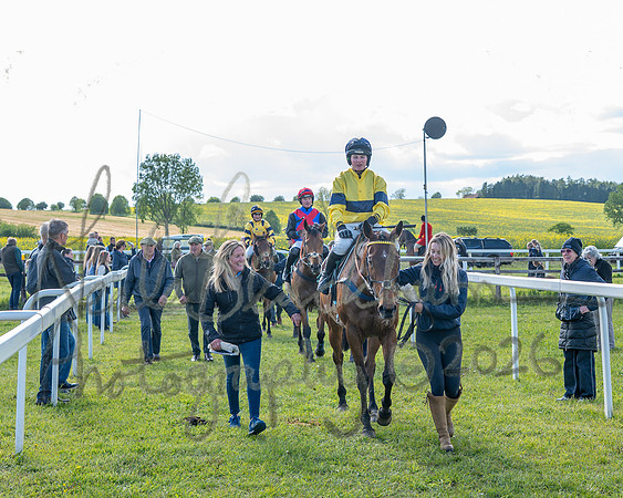 Race 5 - Restricted (131 of 151)
