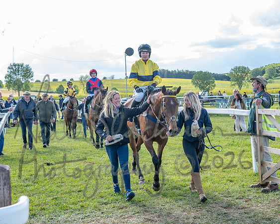 Race 5 - Restricted (132 of 151)