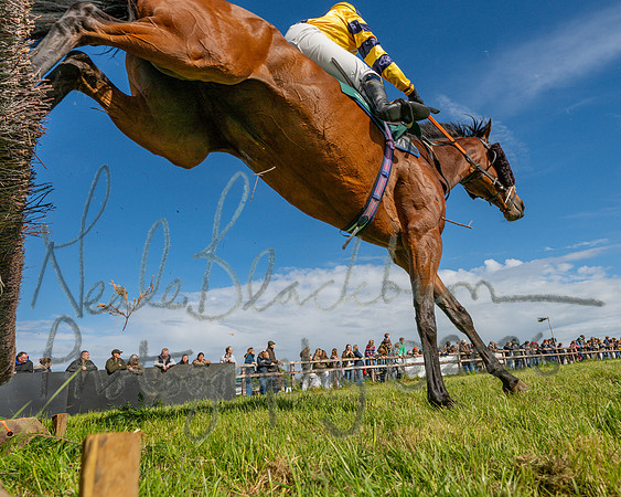 Race 5 - Restricted (130 of 151)