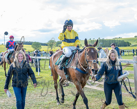 Race 5 - Restricted (134 of 151)