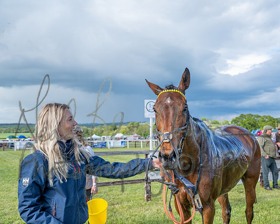 Race 5 - Restricted (141 of 151)