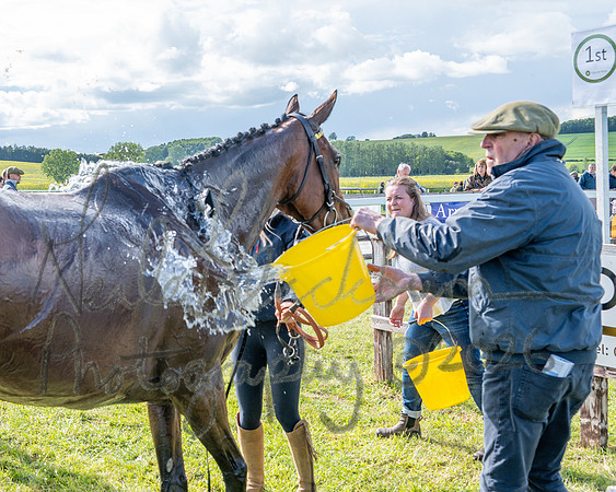 Race 5 - Restricted (143 of 151)