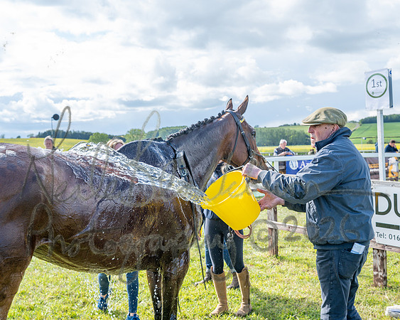 Race 5 - Restricted (146 of 151)