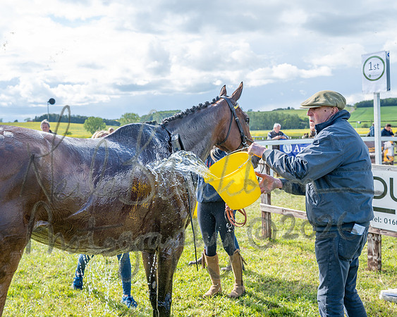 Race 5 - Restricted (145 of 151)