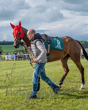 Race 6 - Conditions [Level 3] (6 of 108)