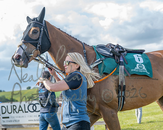 Race 6 - Conditions [Level 3] (9 of 108)