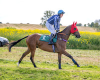 Race 6 - Conditions [Level 3] (16 of 108)