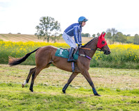 Race 6 - Conditions [Level 3] (17 of 108)