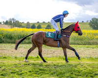 Race 6 - Conditions [Level 3] (18 of 108)