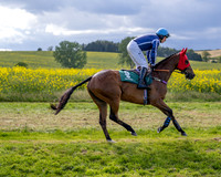 Race 6 - Conditions [Level 3] (19 of 108)