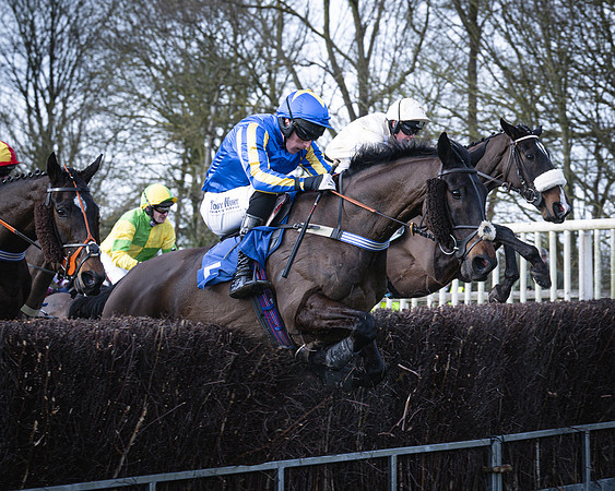 Race 2 - Maiden (74 of 145)