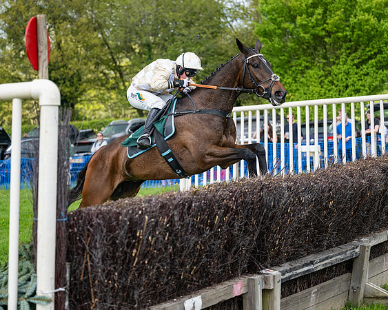 Race 5  - Maiden  (60 of 84)
