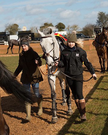 Race 1 - 4-5-6 Maiden (32 of 119).jpg