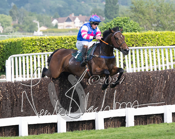 Race 1 - The Bottle Green Open Hunters steeplechase 2m62y (39 of 93)