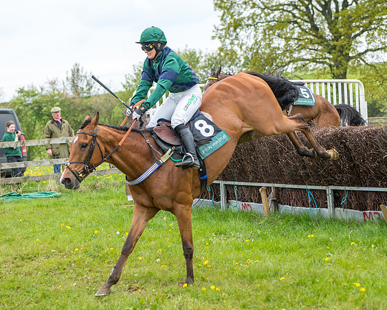 Race 2 - Jockey Club ROR veteran Horse (93 of 104)