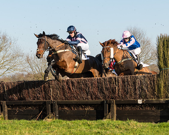 Race 2 - PPORA Novice Riders  (92 of 205)