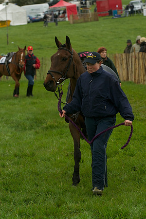 Race 8 - Pony Race 2 -  3