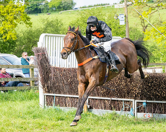 Race 5  - Novice riders (144 of 188)