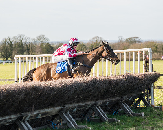 Race 5 - Restricted (72 of 146)