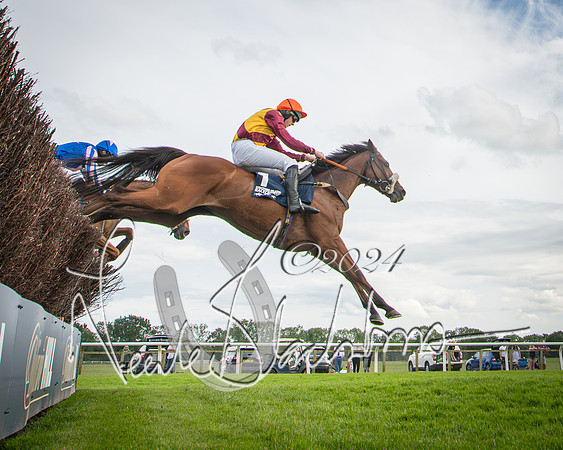 Race 1 - Pointing Pointers Restricted Final (49 of 79)