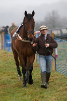 Young Horse Maiden  2