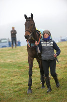 Young Horse Maiden  4