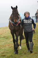 Young Horse Maiden  5