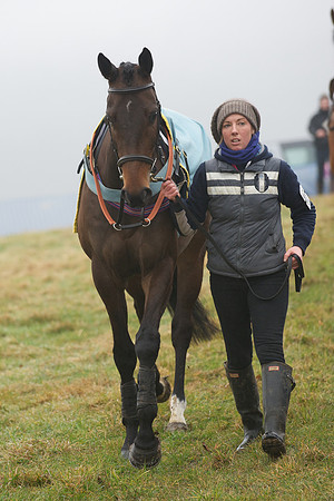 Young Horse Maiden  5