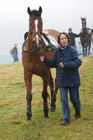 Young Horse Maiden  6