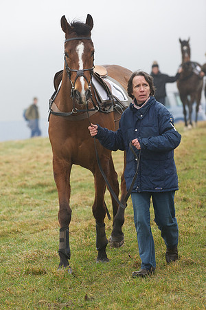 Young Horse Maiden  6