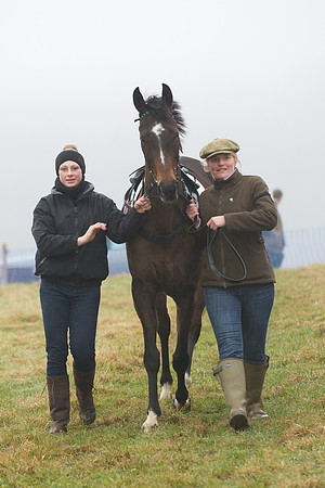 Young Horse Maiden  7