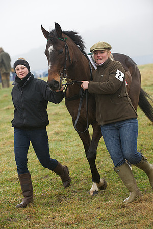 Young Horse Maiden  8