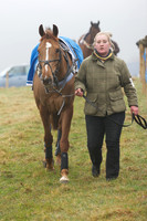 Young Horse Maiden  9
