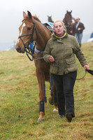 Young Horse Maiden  10