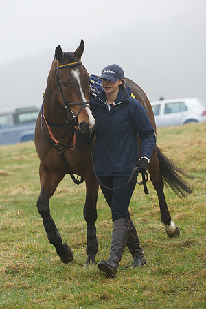Young Horse Maiden  11