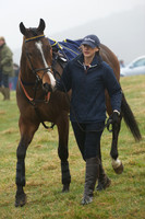 Young Horse Maiden  12
