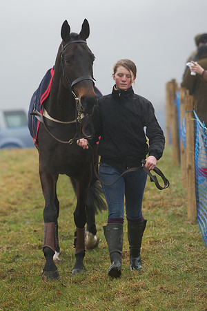 Young Horse Maiden  13