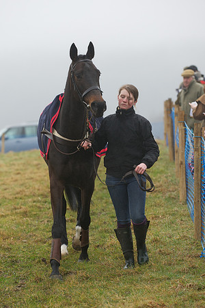 Young Horse Maiden  14