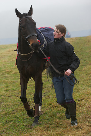 Young Horse Maiden  15