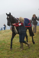 Young Horse Maiden  16