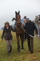 Young Horse Maiden  17