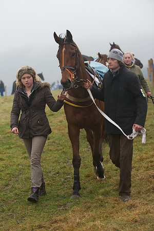 Young Horse Maiden  18