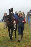 Young Horse Maiden  19