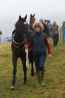 Young Horse Maiden  20