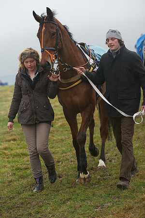 Young Horse Maiden  21