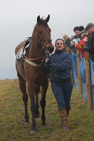 Young Horse Maiden  22