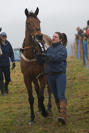 Young Horse Maiden  23