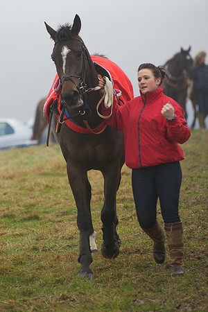 Young Horse Maiden  24